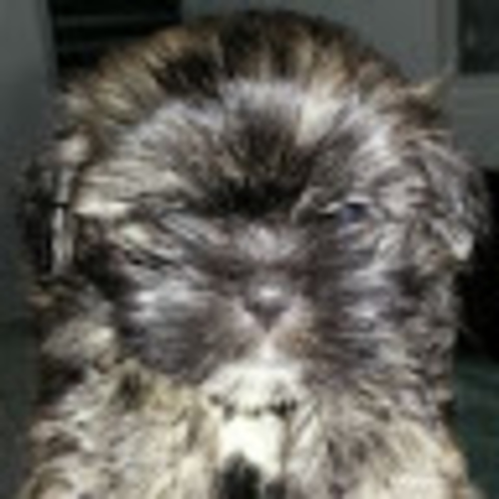 Meet your Posher, Leilani